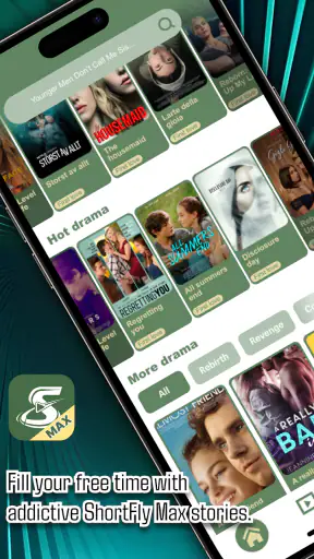ShortFly Max screenshot 2