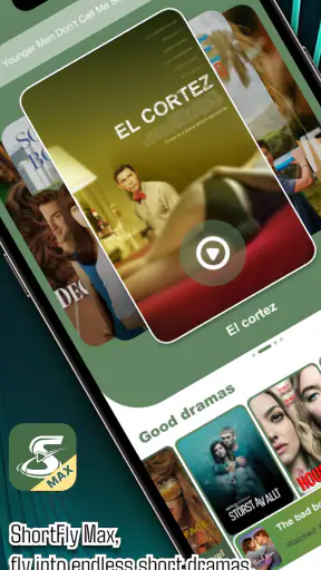 ShortFly Max screenshot 7