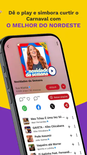 Sua Música: Hits do Nordeste screenshot 7